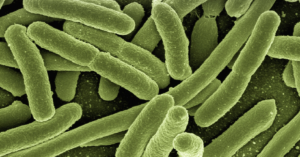 Prevention of Legionella