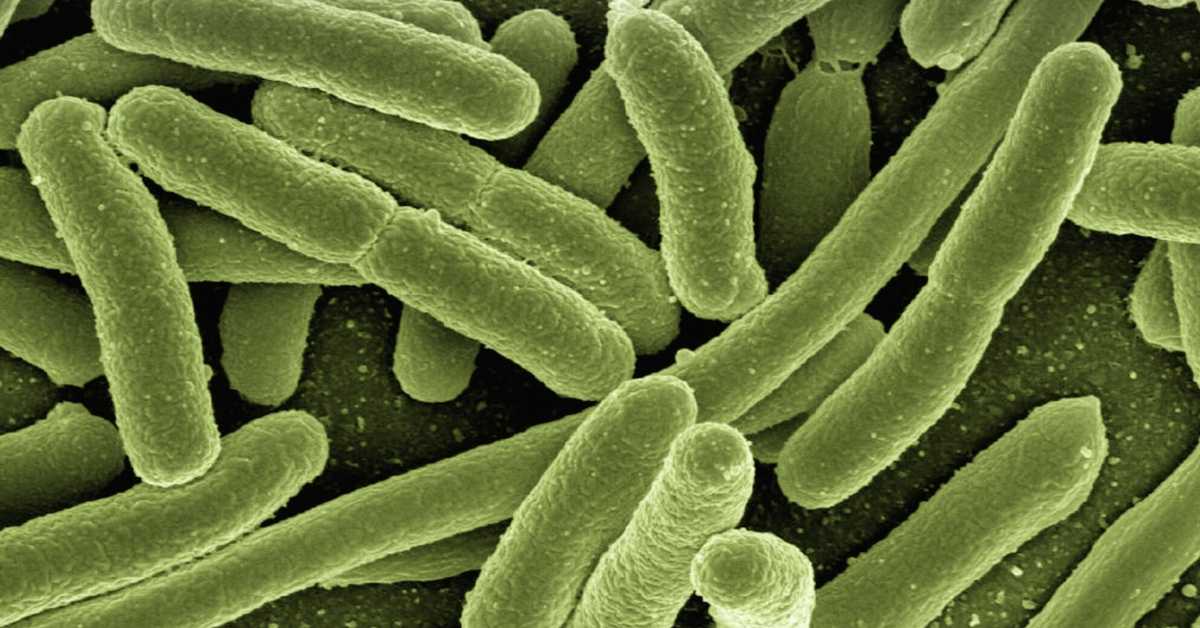 Prevention of Legionella