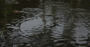 rainwater tanks