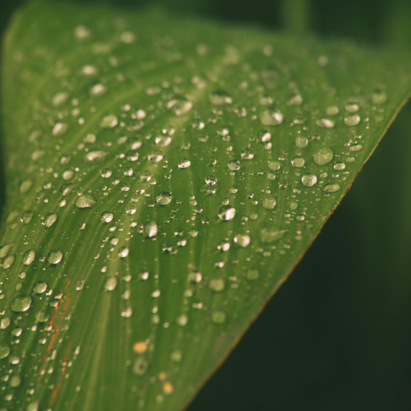 Rainwater Tanks Ireland guide covering sustainable water storage, rainwater harvesting systems, and Irish compliance requirements.